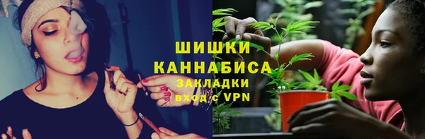 дурь Новодвинск