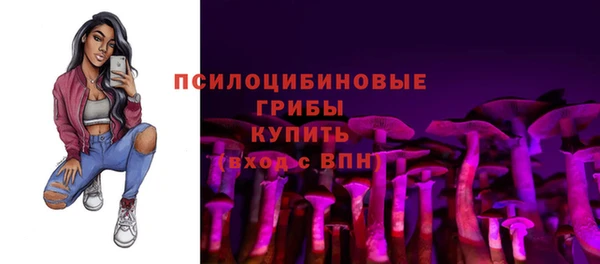 дурь Новодвинск