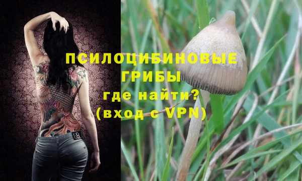 не бодяженный Новозыбков
