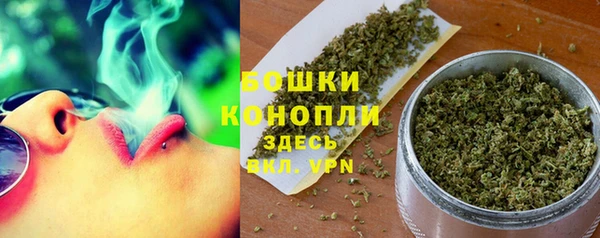 дурь Новодвинск
