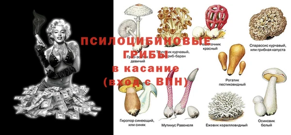 таблы Новокубанск
