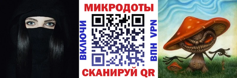 Псилоцибиновые грибы Psilocybe  Усть-Илимск 